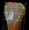 MODELADO ANATOMIA FUNCIONAL GEOMETRICA AFG - Battistelli