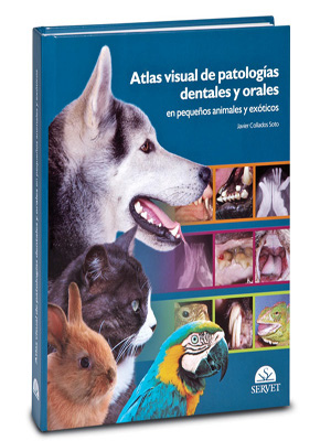 Atlas visual de patologías dentales y orales en pequeños animales y exóticos - J. Collados