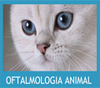 Oftalmología Animal