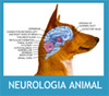 Neurología Animal