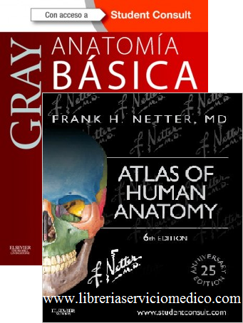 PACK GRAY ANATOMIA BASICA + NETTER ATLAS DE ANATOMIA HUMANA