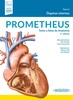 PROMETHEUS. Texto y Atlas de Anatomía. ORGANOS INTERNOS - Schünke
