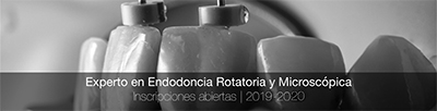 EXPERTO EN ENDODONCIA ROTATORIA Y MICROSCOPICA, 12ª Edición - Dr. Vicente Faus